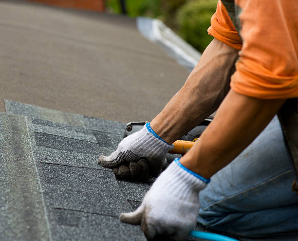 Best Gutter Installation and Roofing  in Exandria, AL