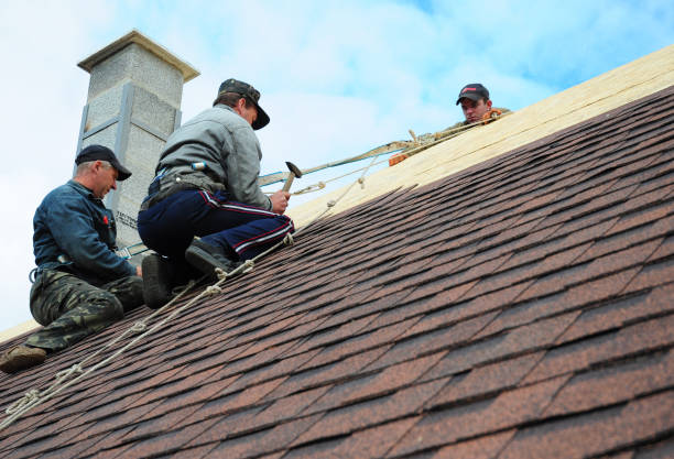 Best New Roof Installation  in Exandria, AL